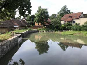 Návesní rybník Zaječice 2023